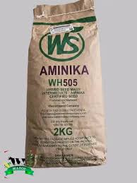 WS Aminika 505