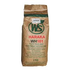 WS  Haraka  101