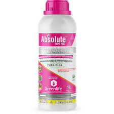 Absolute