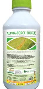ALPHA FORCE