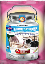 ANIMATIC SUPER NDAMA