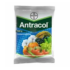 Antracol