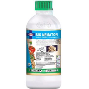 Bio Nematon.