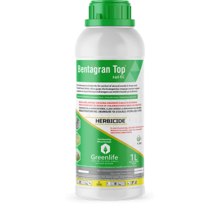 Bentagran top