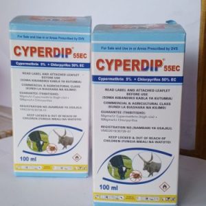 Cyperdip.