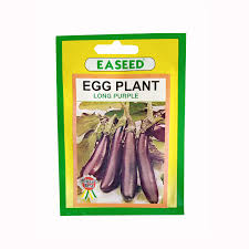 Eggplant