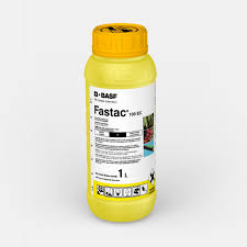 Fastac