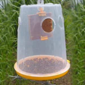 Fly Trap Container