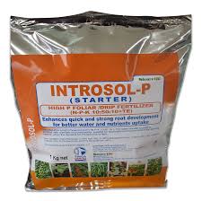 Intrasol