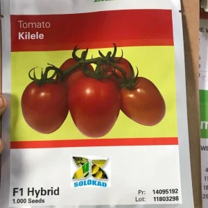 Kilele F1