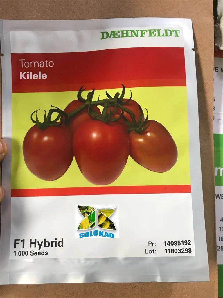Kilele F1