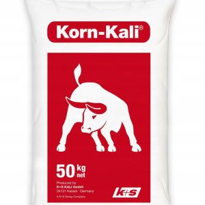 Korn kali