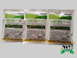 Metrin