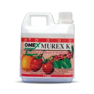 Murex