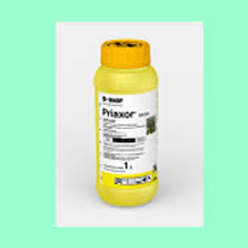 Priaxor