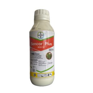Sencor Plus