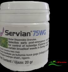 Servian