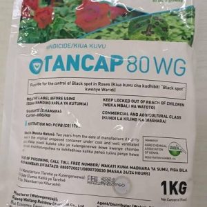 Tancap