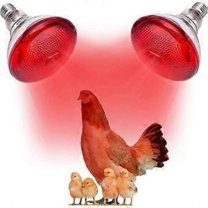 Tronic Infrared Bulb