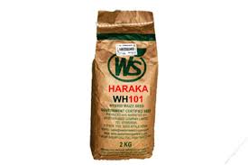 Ws 101